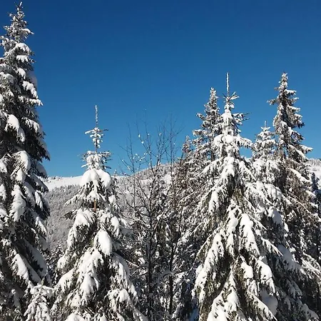 Appartement Residenz-grafenmatt-feldberg-schwarzwald