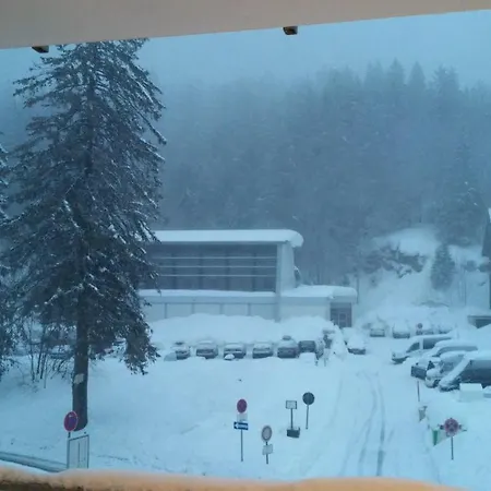 Residenz-grafenmatt-feldberg-schwarzwald *